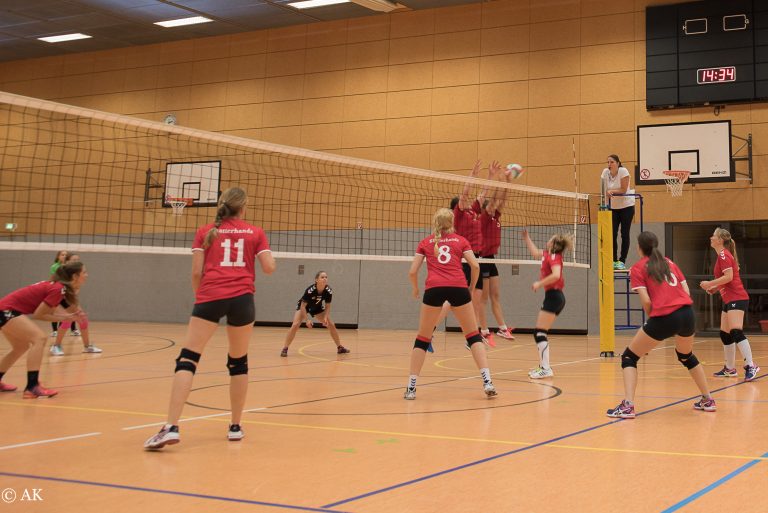 Shatterlinge mit Licht und Schatten